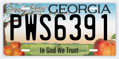 GA license plate PWS6391