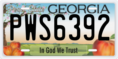 GA license plate PWS6392