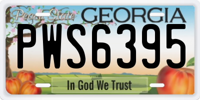 GA license plate PWS6395