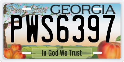 GA license plate PWS6397