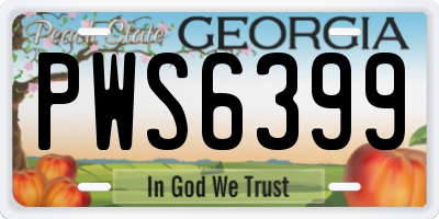 GA license plate PWS6399