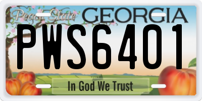 GA license plate PWS6401