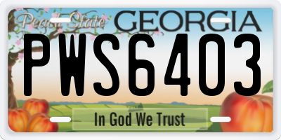 GA license plate PWS6403