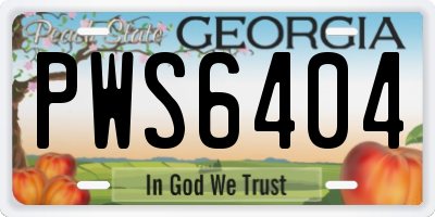 GA license plate PWS6404