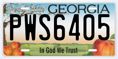 GA license plate PWS6405