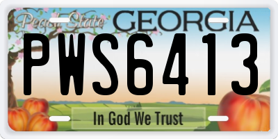 GA license plate PWS6413
