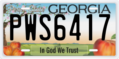 GA license plate PWS6417