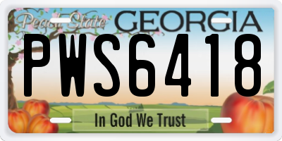 GA license plate PWS6418