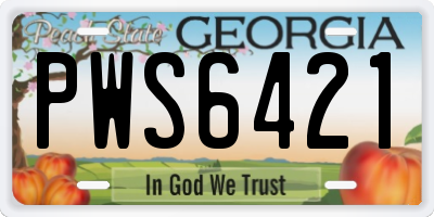 GA license plate PWS6421