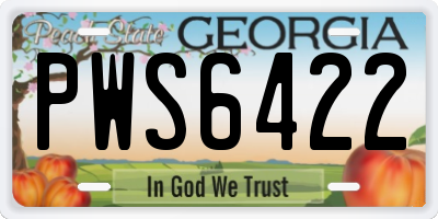 GA license plate PWS6422