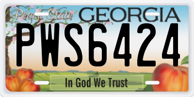 GA license plate PWS6424