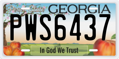 GA license plate PWS6437