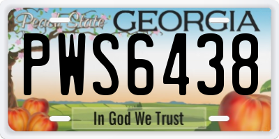 GA license plate PWS6438