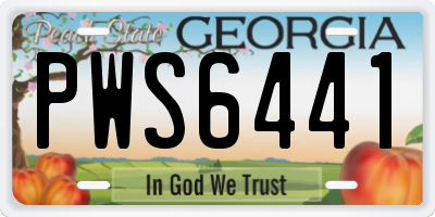 GA license plate PWS6441