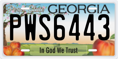 GA license plate PWS6443
