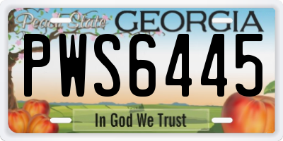 GA license plate PWS6445