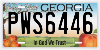 GA license plate PWS6446