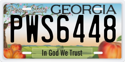 GA license plate PWS6448