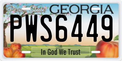 GA license plate PWS6449
