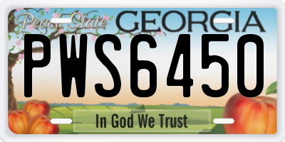 GA license plate PWS6450