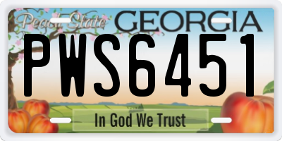 GA license plate PWS6451