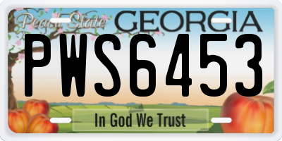 GA license plate PWS6453