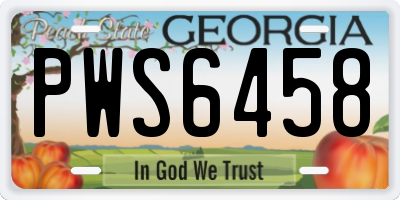 GA license plate PWS6458
