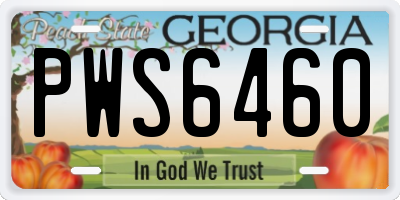GA license plate PWS6460