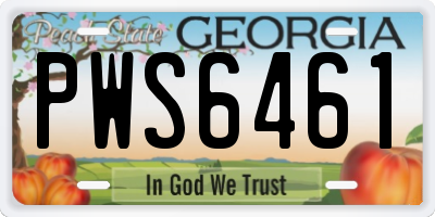 GA license plate PWS6461