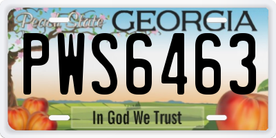 GA license plate PWS6463