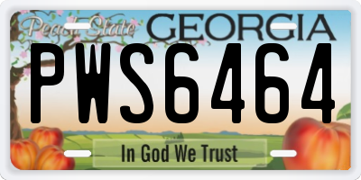 GA license plate PWS6464