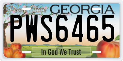 GA license plate PWS6465