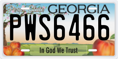 GA license plate PWS6466