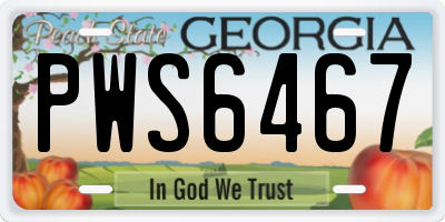 GA license plate PWS6467