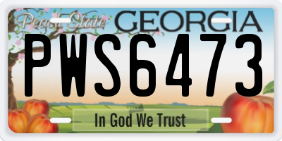 GA license plate PWS6473