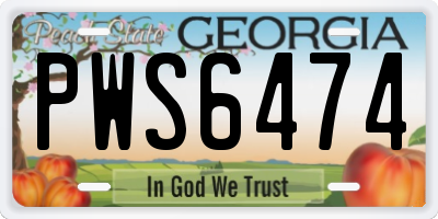 GA license plate PWS6474