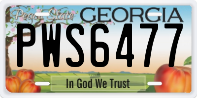 GA license plate PWS6477