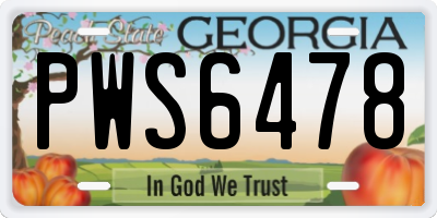GA license plate PWS6478