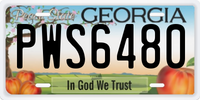 GA license plate PWS6480