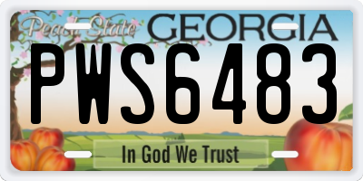 GA license plate PWS6483