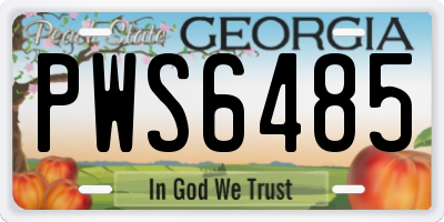 GA license plate PWS6485