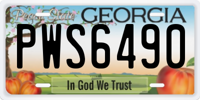 GA license plate PWS6490
