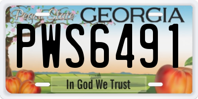 GA license plate PWS6491