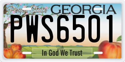 GA license plate PWS6501