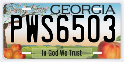GA license plate PWS6503
