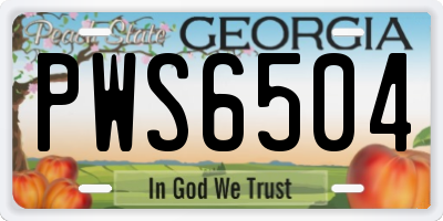 GA license plate PWS6504
