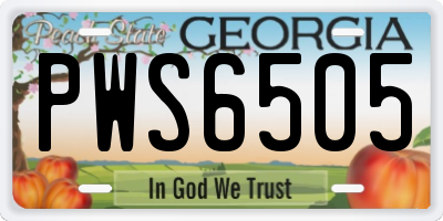 GA license plate PWS6505