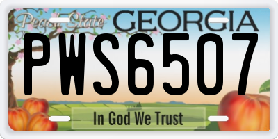 GA license plate PWS6507