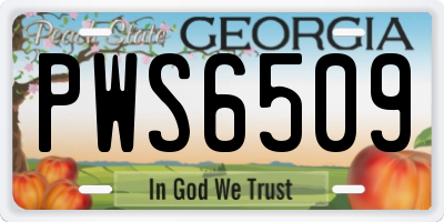GA license plate PWS6509