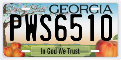 GA license plate PWS6510